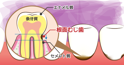 SDN_2105_002_b230421.jpgのサムネール画像